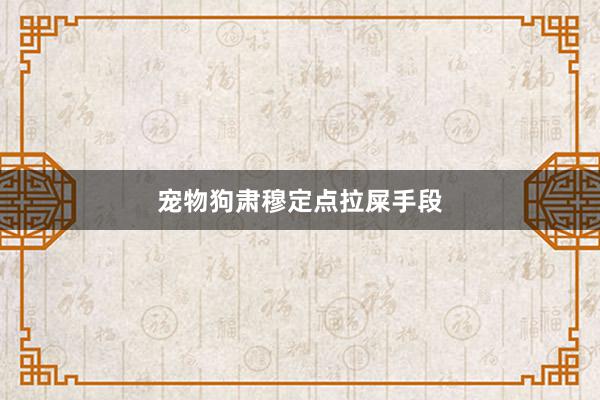 宠物狗肃穆定点拉屎手段